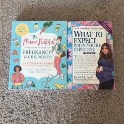Pregnancy Books