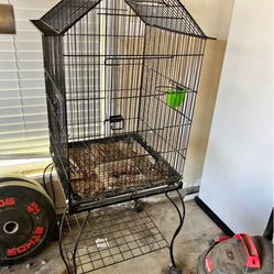 Bird Cage $65