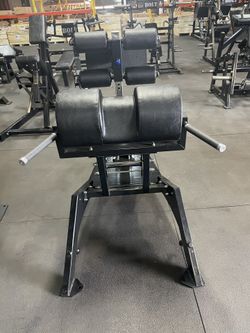 Glute Ham Developer 