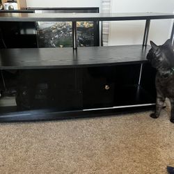 TV stand (cat Not Included)