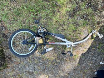 Wee Ride Copilot Bike