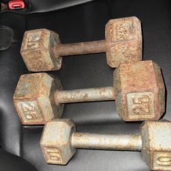 Weighted Dumbbells