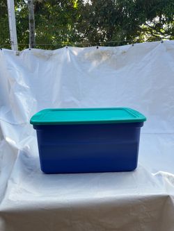 Large Sterilite 33 gallons Plastic Box whit Lid (only one )