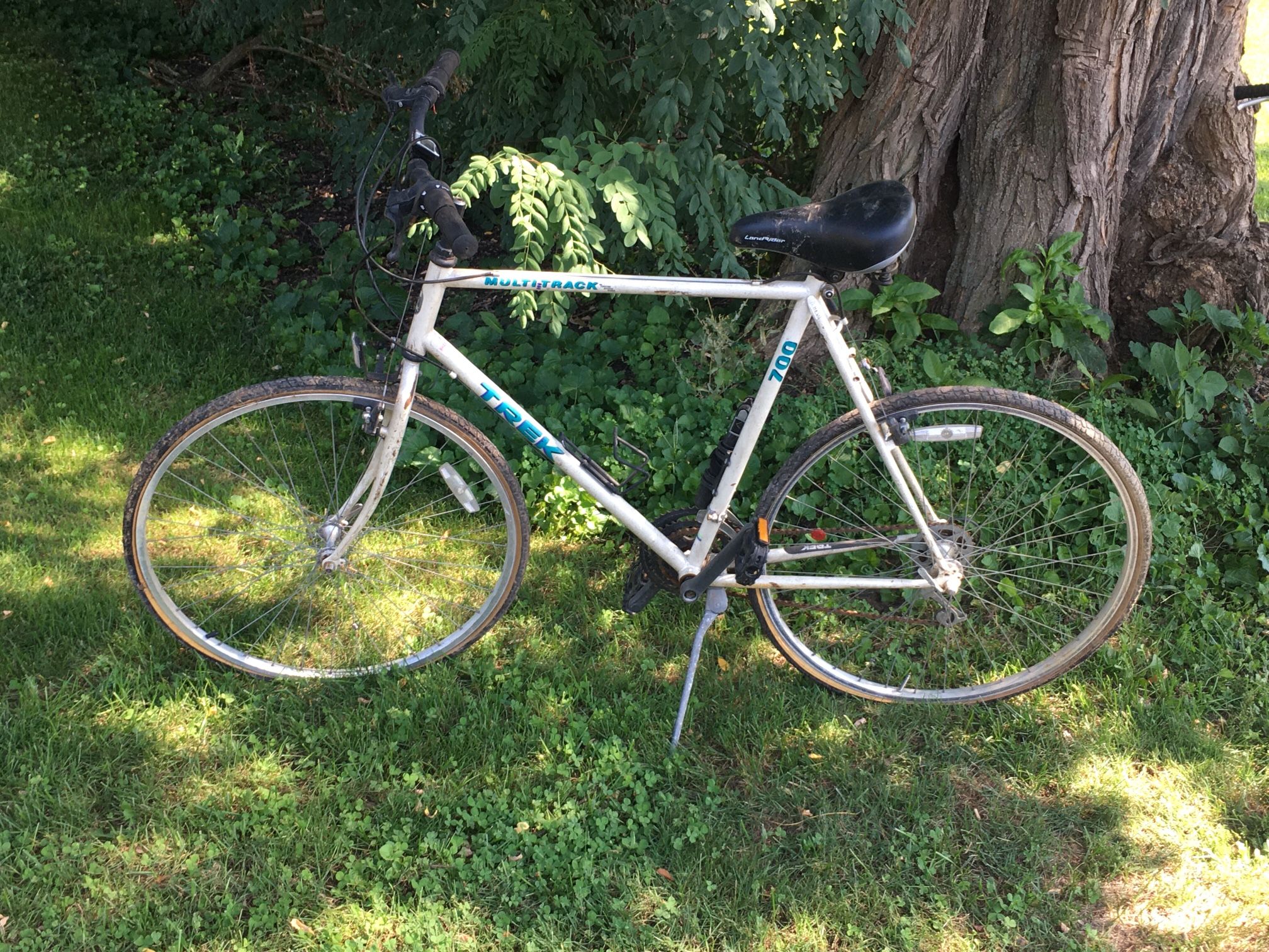 Large Tall Bikes $40 - $70