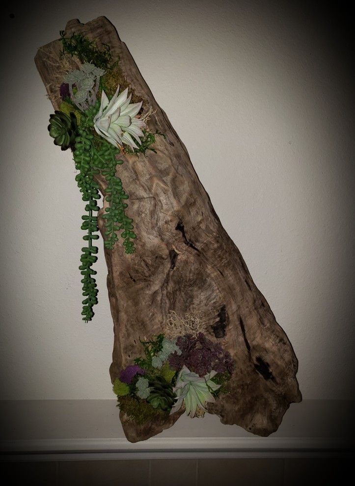 Lovely Handcrafted Unique Driftwood Centerpiece Décor With Artificial Succulents (X Large Size)