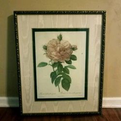 Large Framed Picture