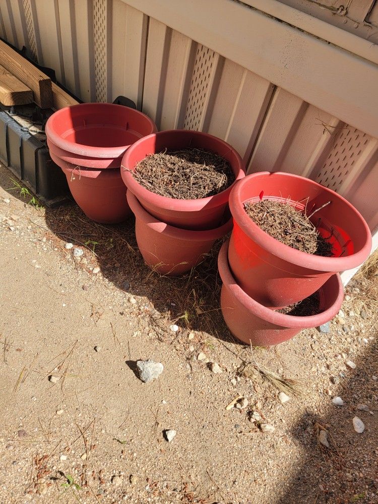 Flower Pots  Asking $30 For All
