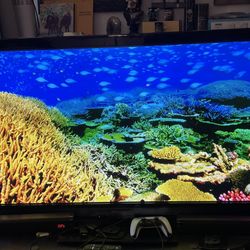 Panasonic Plasma TV 55”