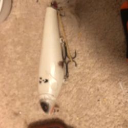 Lunker Punker $100 Firm