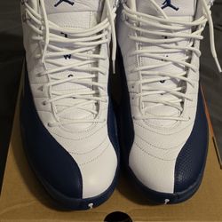 French Blue Jordan 12