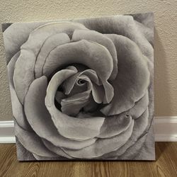 Marilyn Monroe frame collection