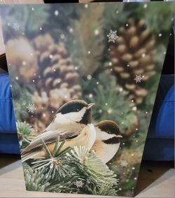Bird Holiday Picture. Lights Up
