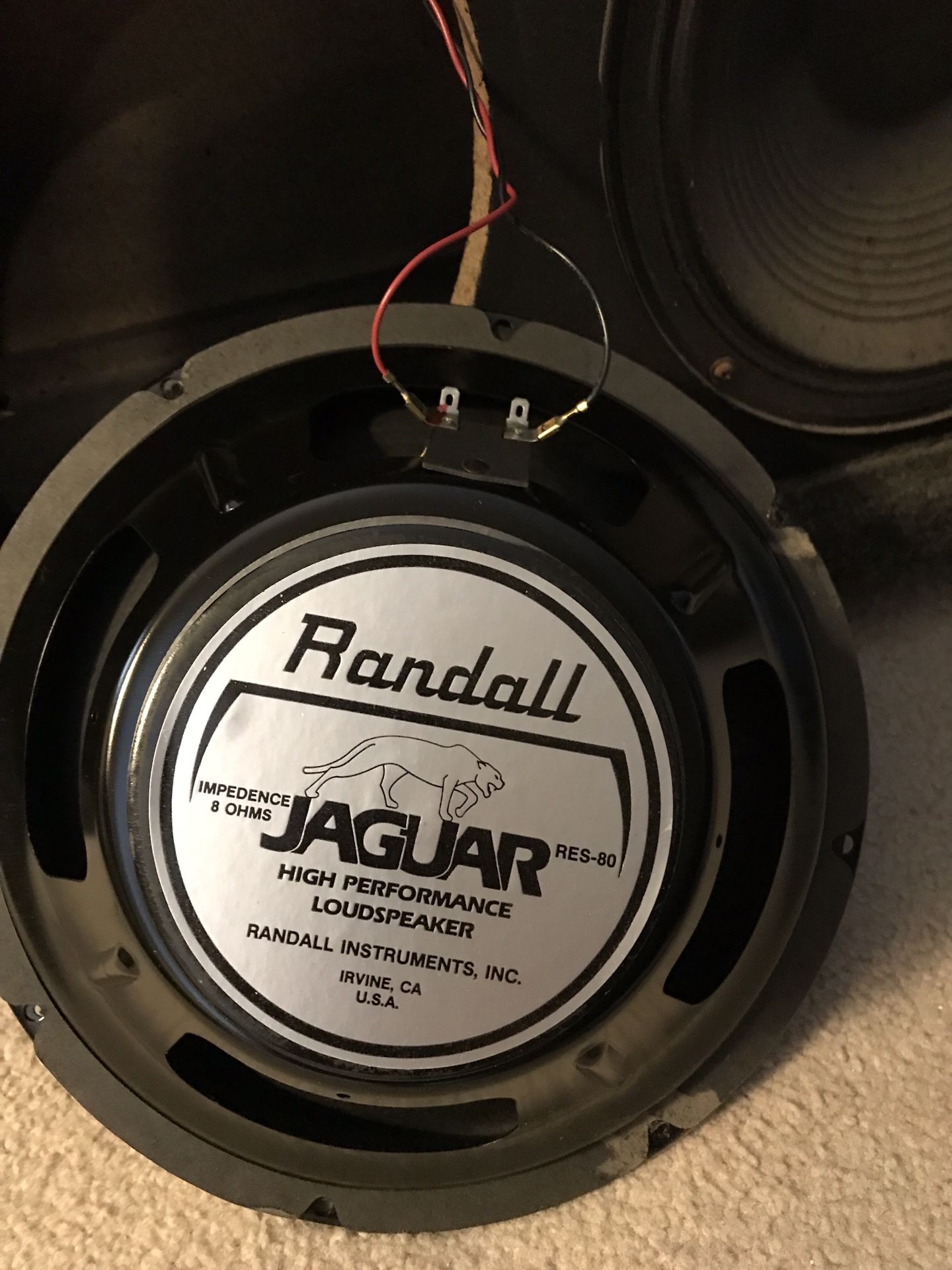 Randall hotsell jaguar speakers
