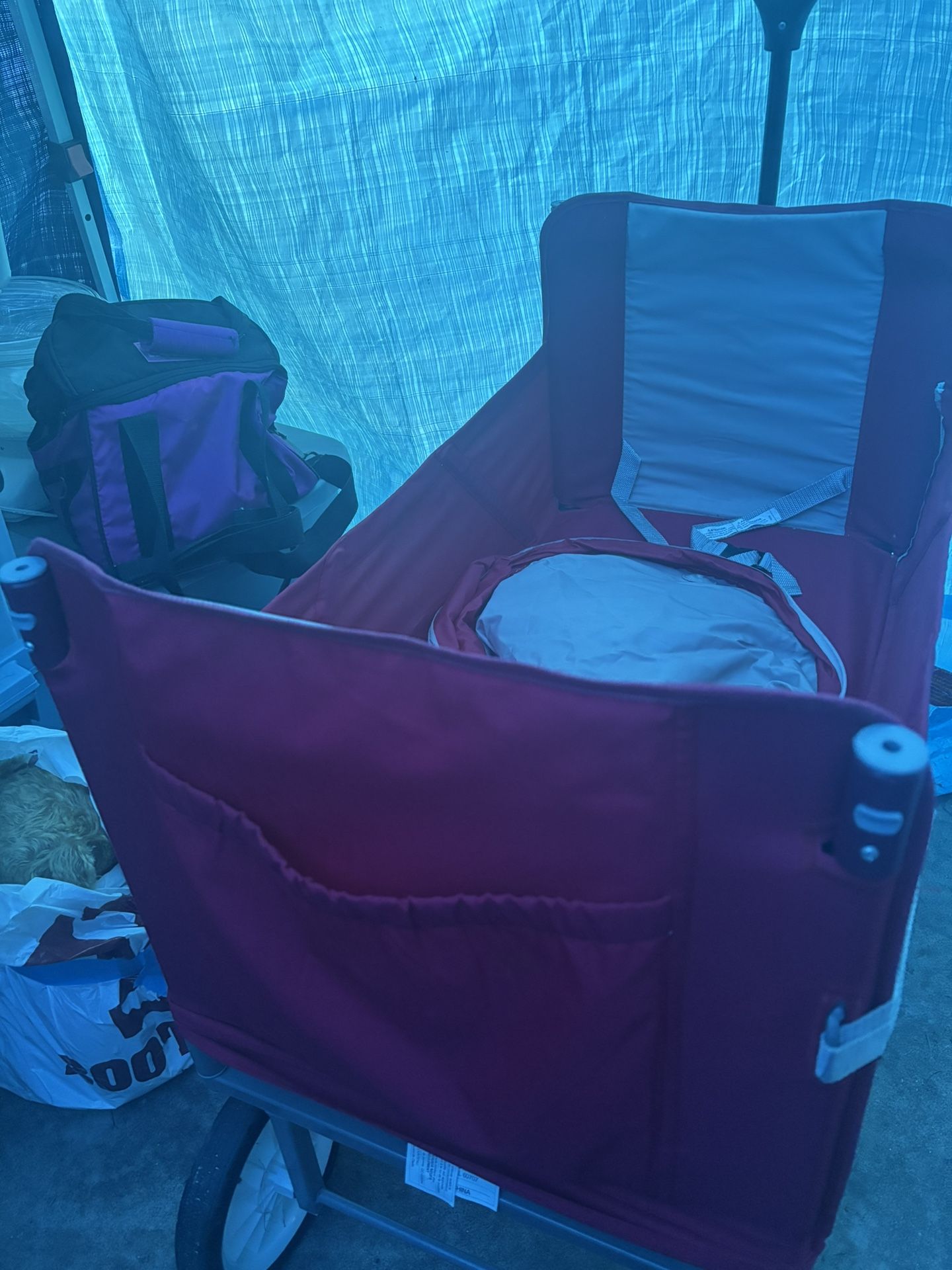 Radio Flyer Red Wagon