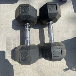 25lbs Weights 2 Total