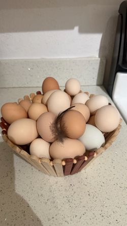 Fresh Farm Eggs Daily