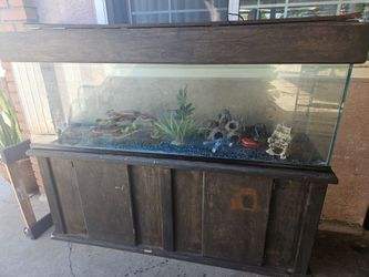 Fish tank,pecera