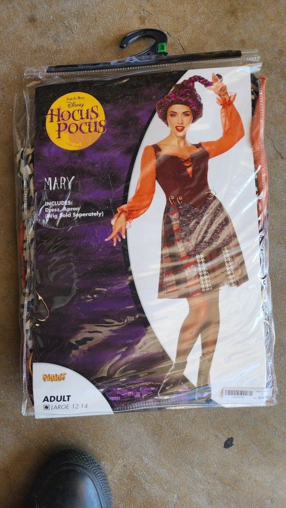 Hocus Pocus Costume