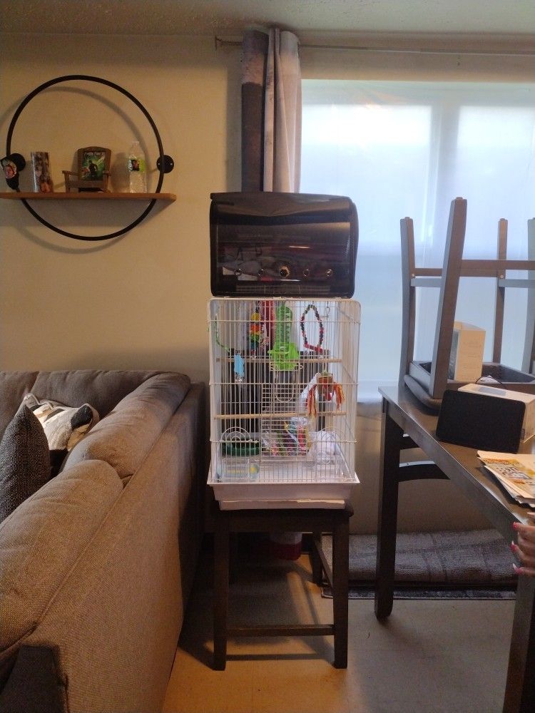 Bird Cage And Accessories 