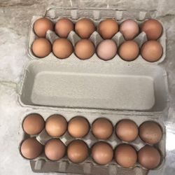 🥚🍳farm Fresh Eggs 🥚🍳