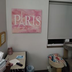 Large Pink Paris Canvas Wall Decor