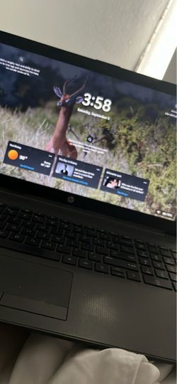 HP windows 11