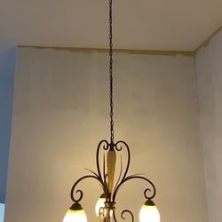 Bronze Iron Hanging  Light  Fixture