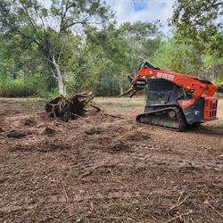 Skid Steer 