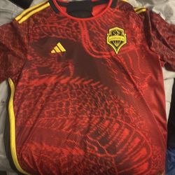 Seattle Sanders jersey