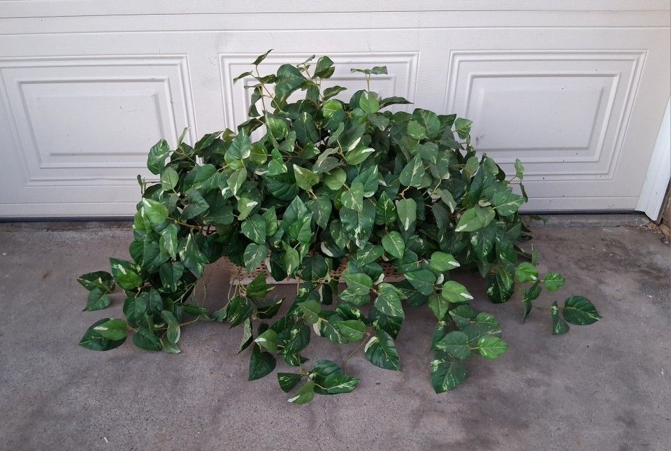 Large Artificial Plant 