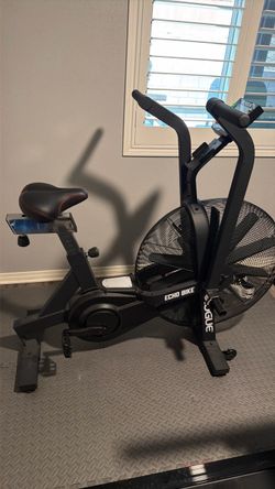 Rogue Echo Bike