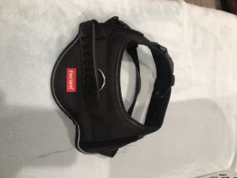 Dog collar with handle