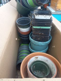 Pots For Plants