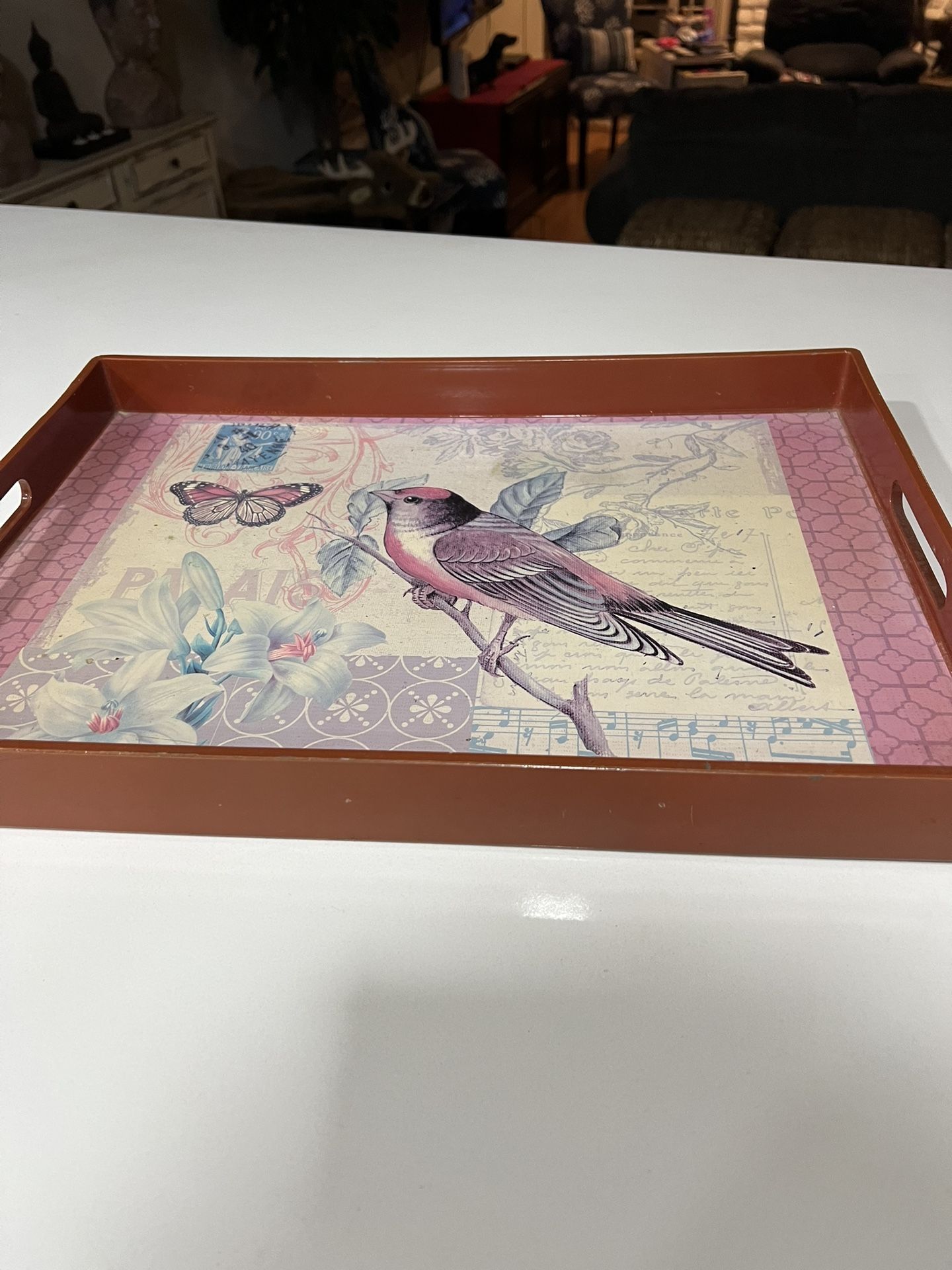 Vintage Acrylic Lacquered Rectangle Serving Tray With Handles Bird And Butterfly Print 14 Inches X 19 Inches In Very Good Condition Used With Some