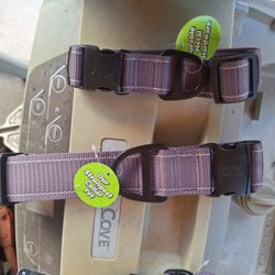 2 brand new collars