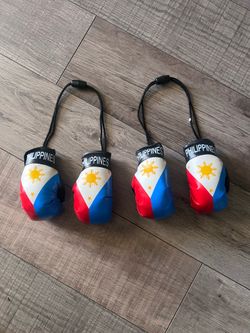 Philippines mini car Boxing Gloves