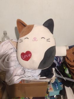 Original Squishmallows CAM