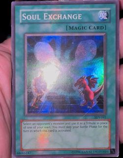 SOUL EXCHANGE