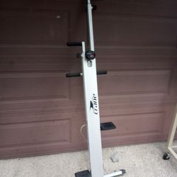 Crane Climber Workout Machine