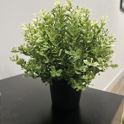 Artificial Potted Plant From IKEA