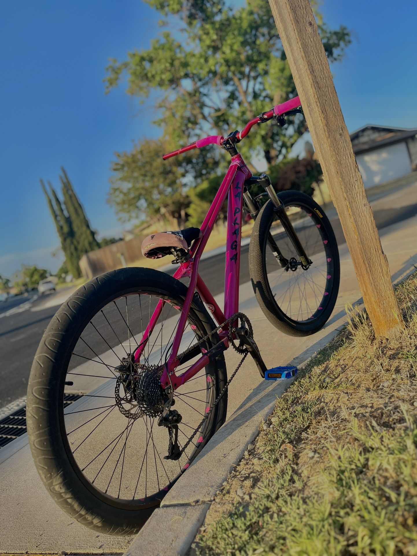 La Plaga Bike 27.5
