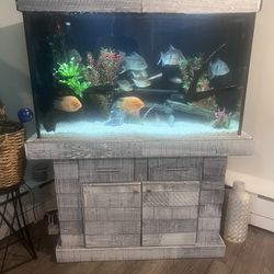 110 Gallon Fish Tank And Stand 