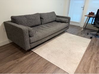 Rug (Beige carpet)