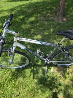 Large size raleigh bike
