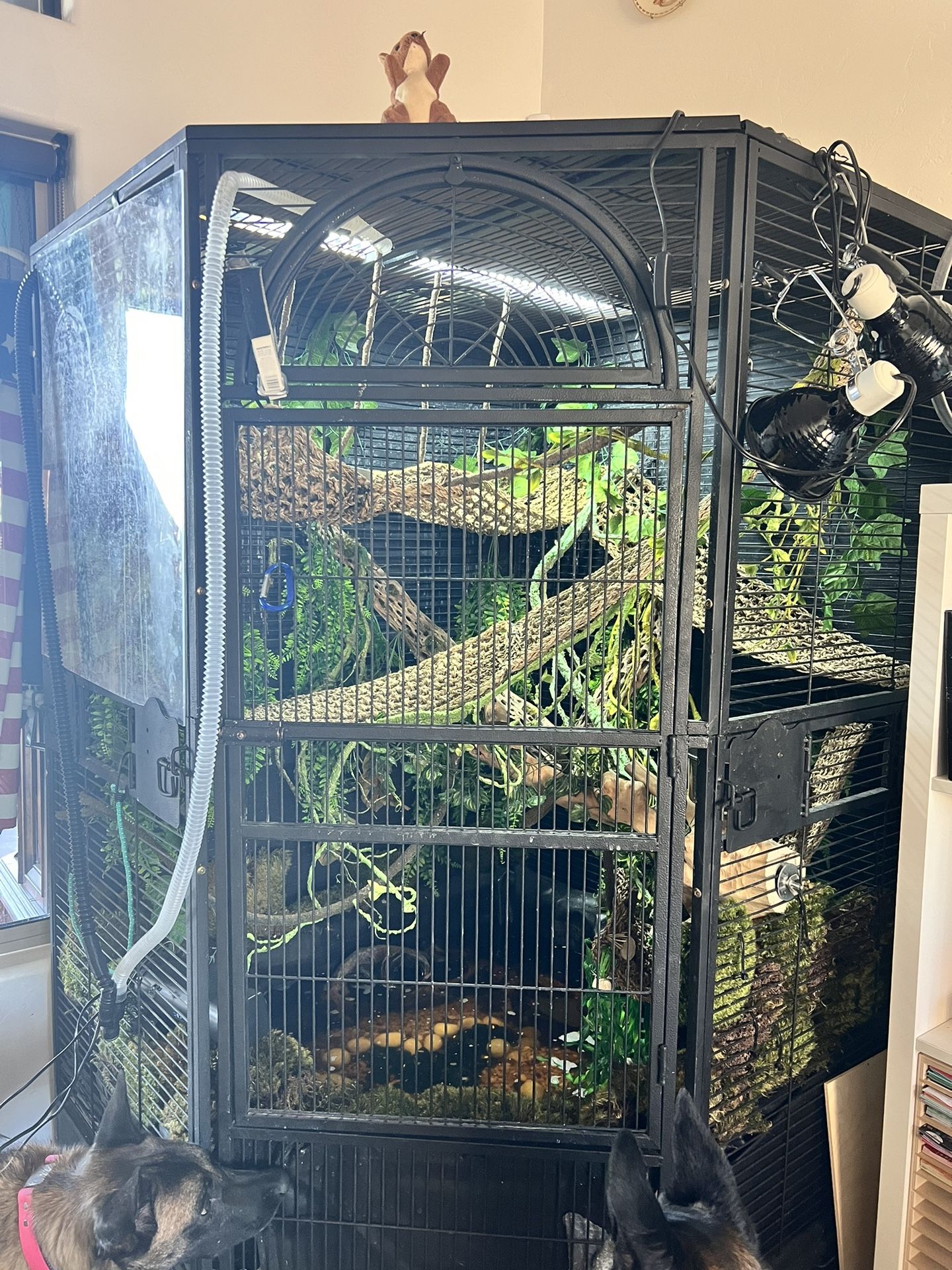 Cage For Bird Used For Iguana