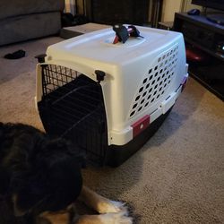 Small Dog Crate *Like New*