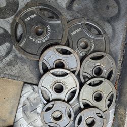 Weight Olympic Plates 