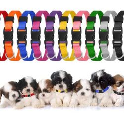 Wonder Pup Puppy Collars