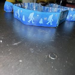 FlogGnaw Tickets/ Bracelets 