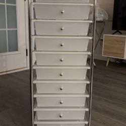 Rolling Cat With Drawers 